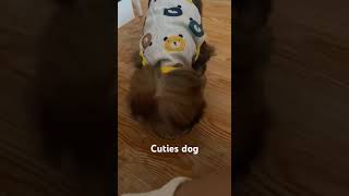 #cute #viral #calmdawn #dogcute #dog #foodie #shortvideo #shortsvideo #shorts #shortsviral