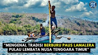 "Mengenal Tradisi Unik Berburu Paus Lamalera Pulau Lembata Nusa Tenggara Timur" #indonesia