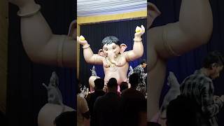 Raipur at its best #ganpatidarshan#twins #2024#youtubeshorts