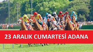 23 ARALIK 2023 CUMARTESİ ADANA AT YARIŞI TAHMİNLERİ VE YORUMLARI