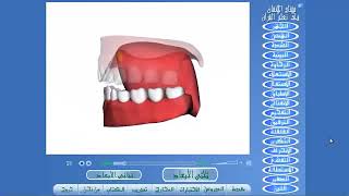 مخرج حرف الراء