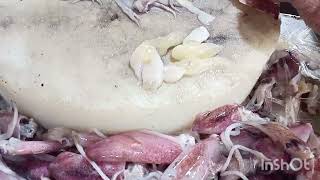 #Squid fresh 4kg #crispy fried with salt & #pepper Ang dameng itlog yummy