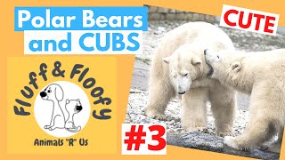 Polar bear attacks blue ball under water & polar bear cubs protected by mama! & more! Comp3! #shorts