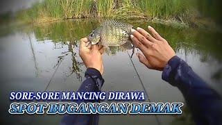 NYOBOK SORE SPOT DESA BUGANGAN DEMAK