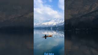 Dal Lake  #guitar #music #bollywood #hindisong