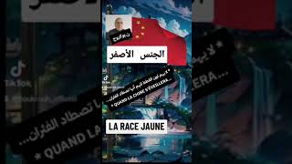 الجنس الأصفر (la race jaune)