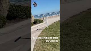 Olhando essa maravilha de praia em Orlando