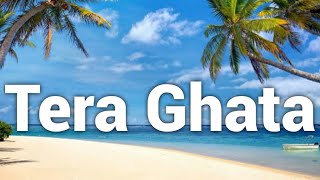 Tera Ghata | Gajendra VermaFt. Karishma Sharma | Vikram Singh [ lyrics in description ]