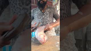 Amazing catla fish cutting || 🐠#SHORTS#SHORT#FISH#shortvideo #youtubeshorts