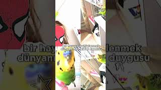 dünyanın en güzel duygusu #blackpink #jennie #blink #jisoo #kpop #lisa #rose #youtube