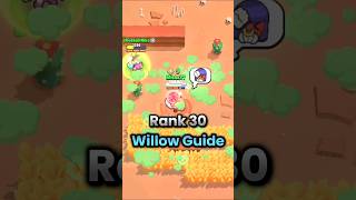 Rank 30 Willow Guide