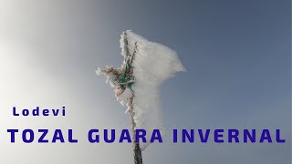 TOZAL DE GUARA INVERNAL - Lodevi