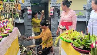 Bali Traditional Ceremony | Purnama