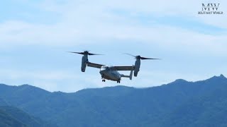 VMM-165 Marines Dismount from Ospreys During Exercise SY24