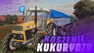 🔥Koszenie QQ na ziarno🔥⌚Timelapse⌚ #016      Od drobnego gospa po wielkie gospo