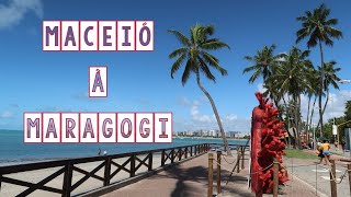 De Maceió até Maragogi de carro - Alagoas | Daniele Ferreira | Embarcando na Aventura