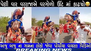 પેલ્લી વાર વરરાજાએ વરગોળો ઊંટ માં કાઢ્યો  😂 ||viral video ||