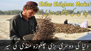 Chilas Chilghoza Market | Dunya Ki Dosri Bari Chilghoza Mandi | Chilas Gilgat Baltistan |