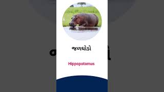 Hippopotamus meaning in Gujarati - English dictionary