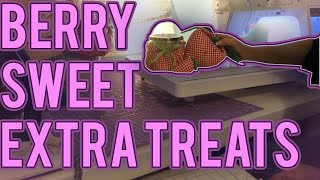 Berry Sweet Extra Treats