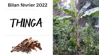 Février 2022 -  1 an plus tard