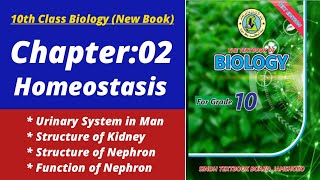 Urinary system of human class 10 | Biology class 10 chapter 2 | Class 10 new biology book