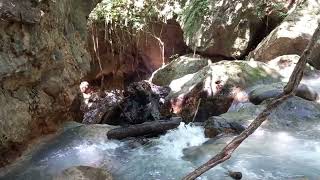 Costa Rica deel 5 Hike la Fortuna