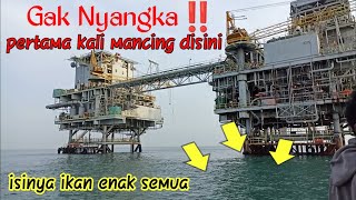 Mancing Di Rig Pertamina Sedari Part 1‼️Umpan Udang Hidup