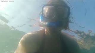 Snorkelling at Man O War Cove