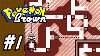 Letsplay Pokemon Brown | Ep 01 - Introductions and Choosing Our Starter