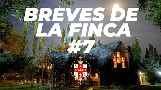 BREVES DE LA FINCA #7