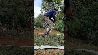 kau buat sekecewa ituu...#viral #shortvideo #shorts