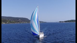 Tulipan Spinnaker Oslofjord