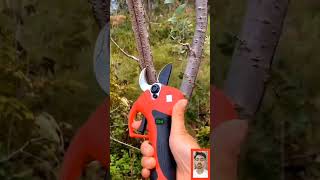 Electric pruning shears l agriculture technology #shear #agriculture #ytshots #shorts