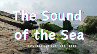 sea sounds