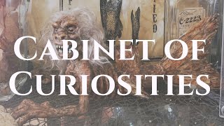 Come Look Through My Cabinet of CURIOSITIES