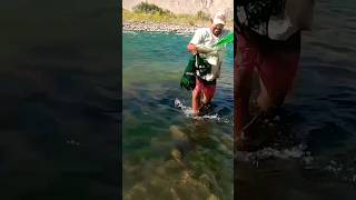 Mira!!. así se #pesca con red en río, Cast net fishing