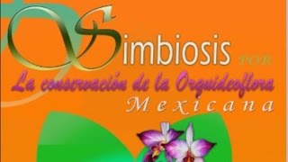 Expo Simbiosis por la conservación de la orquideoflora mexicana