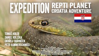 Expedice Repti Planet - Chorvatské dobrodružství  / Expedition Repti Planet - Croatia adventure