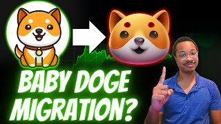 Should BABY DOGE Migrate Contracts?