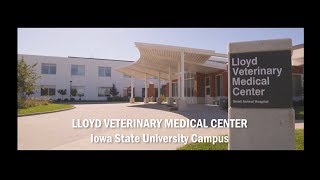 Forever True Week  2019 - College of Veterinary Medicine