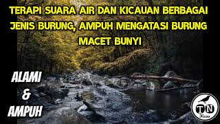 TERAPI SUARA AIR DAN KICAUAN BERBAGAI JENIS BURUNG, AMPUH MENGATASI BURUNG MACET BUNYI