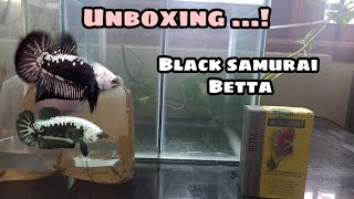 Unboxing | Black samurai Betta pair | தமிழ் | Aquapets & farm