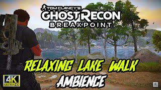 🦆"Ghost Recon Breakpoint: Tranquil Lake Walk Ambience"🌲