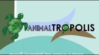 Il mondo animale come non l'avevi mai visto - Animaltropolis