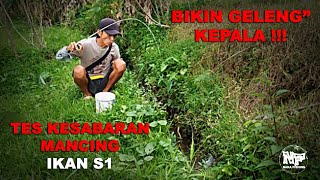 Mancing di selokan #microfishing #mancingnila #mancingnilem #mancingwader #mancingmelem #mancingliar