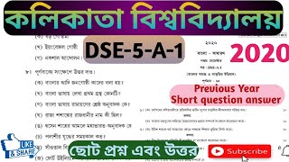 CU_previous year question answer_2020/DSE-A-1/কলকাতা বিশ্ববিদ্যালয় সাধারণ বাংলা পঞ্চম সেমিস্টার