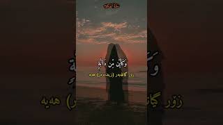 سورة العنكبوت.. القارئ عبدالرحمن مسعد.