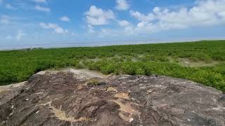 Französisch Guyana am Meer