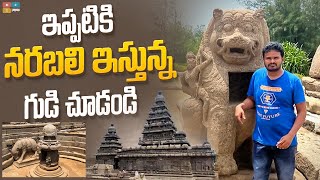 ఇప్పటికి నరబలి ఇస్తున్న గుడి చూడండి.! The Mysterious Temple Tour.!